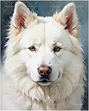 TAOPAOLAB Furry Animals Paint by Numbers Kit for Adults - DIY White Samoyed Portrait Painting on Canvas 16x20In, Acrylic Paint Set, Suitable for Beginners, Pet Art for Home Decoration or Gifts
