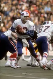 Joe Ferguson Buffalo Bills drops back to pass v the Pittsburgh St- 1974 Photo