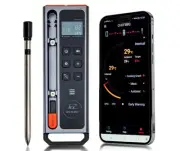 WiFi and Bluetooth Meat Thermometer Digital Wireless - Wireless Temperature P...