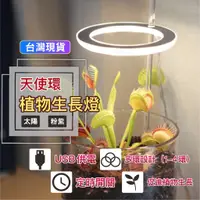 在飛比找蝦皮購物優惠-【瑞承小舖】植物燈 植物生長燈 led 植物燈 植物燈全光譜