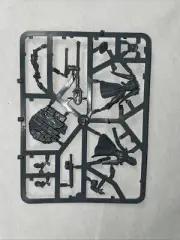 Warhammer Age of Sigmar Knight-Arcanum Stormcast Eternals New On Sprue