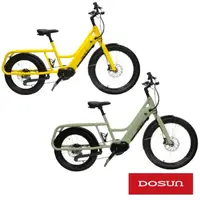 在飛比找momo購物網優惠-【DOSUN】篤尚CG135 Cargo Bike高續航13