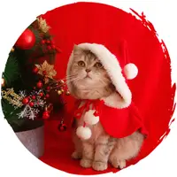 在飛比找友和YOHO優惠-紅色聖誕寵物衣服可愛聖誕貓咪披風斗篷