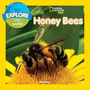 Explore My World - Honey Bees