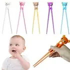Eating Helper Learning Chopsticks Cartoon Bear Beginner Chopstick