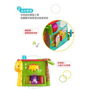 Fisher-Price 費雪 可愛動物積木盒【宜兒樂】