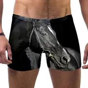 [VBFOFBV] Men's Printed Jammer Swimsuit Swim Shorts, Animal Cat