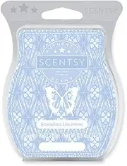 [Scentsy] Snowplace Like Home Bar