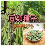 新店大酬客🔥【豆類種子】27款豆子種子不重複 蘇菜豆子 爬藤植物 高產易種植 速發