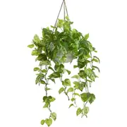 104cm Faux Marble Pothos Bush in Hanging Planter Tabletop and/or Hanging Display