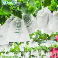 在飛比找樂天市場購物網優惠-廠家直銷陽光玫瑰葡萄專用套袋防鳥防果蠅白色枇杷石榴瓜果保護袋