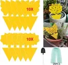 Fruit Fly Sticky Plant Trap 41 PCS and Yellow Sticky Trap Safe Gnat TrapsAU