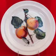 POMONA Portmeirion Roman Apricot Dinner Plate 10.5" NEW NEVER USED made England