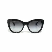 在飛比找momo購物網優惠-【COACH】簡約黑色膠框太陽眼鏡(L134)
