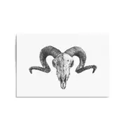 Ram Skull Drawing Man Cave Animal Wall Art