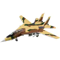 在飛比找Coupang 酷澎優惠-Harveymaster 複製品 F-14A Tomcat 