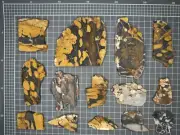 West Australian petrified "Peanut Wood" with MOOKAITE - 14 slices - Gascoyne WA