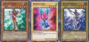 Custom Alexis Mai Deck - Amazoness Sage - Harpie Lady - Prima - NM - 41 Cards