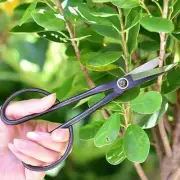 21cm Bonsai Tool Long Handle Scissors GardeningPlant Branch Shears Pruning Tools