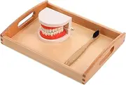 BRIGHTFUFU 1Set Wooden Tooth Brushing Educational Learning for Cognitive Development Brushing Fun Early Education Present for Boys