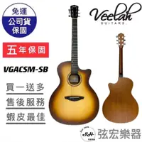 在飛比找蝦皮購物優惠-【五年保固實體門市出貨】Veelah VGACSM-SB 吉