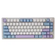 Gamakay TK75 PRO 75% CNC Aluminum Alloy Mechanical Keyboard 81 keys Tri-Mode RGB Gasket Mount 4000mAh Cherry Profile Key
