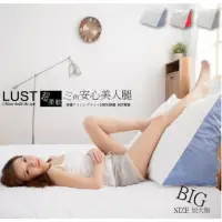在飛比找momo購物網優惠-【LUST生活寢具】日系靠枕-纖瘦美人抬腿枕 抱枕---台灣