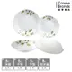 【美國康寧】CORELLE 綠野微風4件式餐盤組-D09