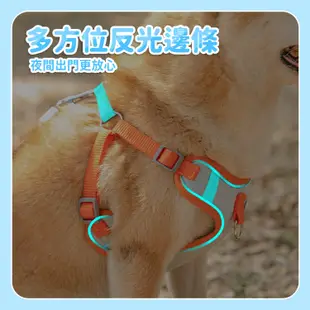 小型犬胸背帶 胸背帶 中型犬胸背帶 小貓胸背帶 寵物胸背帶 寵物背帶胸背帶 工字胸背帶 h胸背帶 透氣胸背帶【X048】