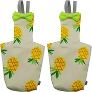 Bird Diapers for Parrots | Reusable Bird Diaper Clothes Washable | 2X Soft Suit Liners, Leak-Proof Pet Supplies, Adjustable Training Nappy, Pineapple Print