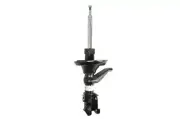 Shock absorber BILSTEIN 22-173560 (for: Honda)