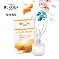 在飛比找誠品線上優惠-MAISON BERGER柏格薰香柳枝擴香套組/ AMORA