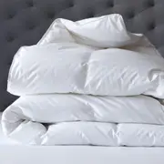 Renee Taylor 600 GSM Deluxe High Loft Quilt With Cotton Cover Premium Microfiber Filling