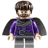 在飛比找蝦皮購物優惠-LEGO 樂高  魔戒 人偶 lor045 矮人 Ori 含