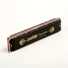 High Quality 24 Holes Polyphonic Harmonica - Brand New Harmonica Instrument...