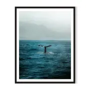 Whale Tail Framed Wall Art - Black