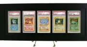 Pokemon Card Frame/Display w/ FIVE PSA or CGC Graded Card Openings-Black Design