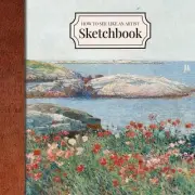 How to See Like an Artist Sketchbook by Ariane Trifunovic Montemuro Paperback Bo