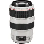 Canon EF 70-300mm F4-5.6 L IS USM 平行輸入 平輸 贈UV保護鏡+專業清潔組