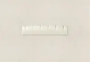 Taylor String Nut, Tusq, LH, 1-11/16"