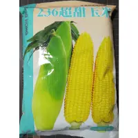 在飛比找蝦皮購物優惠-【萌田種子~】N27 236超甜玉米種子60公克 , 大穗且