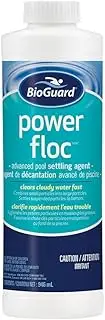 BioGuard PowerFloc - 1 Quart, Clears Cloudy Water Fast, Pool Clarifier