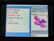 Shiny Kyogre (Lv 50) Embedded Tower Pokemon HeartGold SoulSilver Untouched Home