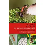 ANTS OF BRITAIN AND EUROPE 歐洲及英國的螞蟻