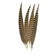 of Nature Ringneck Pheasant Feathers 4/Pcs, Natural I5L76948