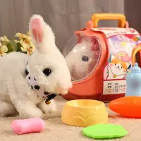 在飛比找樂天市場購物網優惠-兔子毛絨玩具仿真電動玩偶狗狗會走的小白兔公仔兒童生日禮物女孩