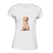 Cute Baby Gold Labrador Retriever Puppy Pet White Ladies Women T Shirt Tee Top