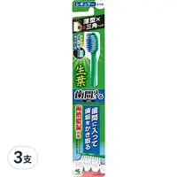 在飛比找Coupang 酷澎優惠-小林製藥 生葉 深入齒間 齒槽膿漏潔淨牙刷 顏色隨機