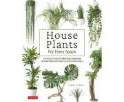 House Plants for Every Space