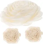 Cabilock Flower Diffuser Sticks Creative Aromatherapy Plant Dried Flower Decor Home Decoration